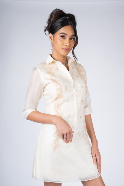 lady barong dress ZHANRA FILIPINIANA BARONG DRESS