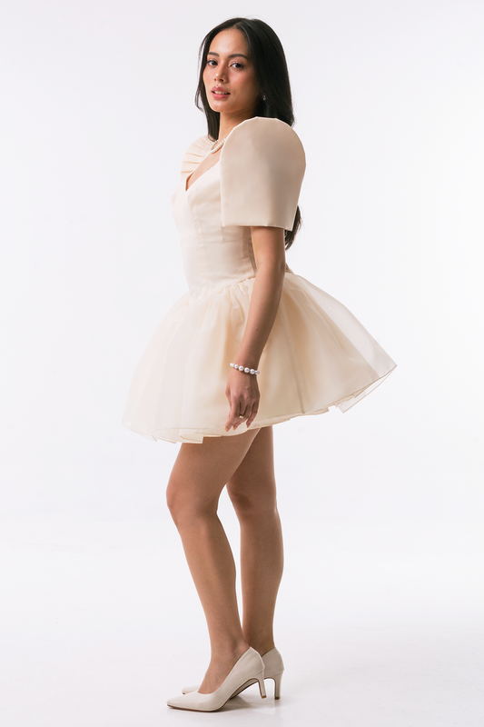 Tully Filipiniana Dress